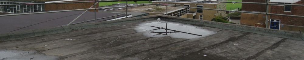 dakreparatie plat dak in Zwolle