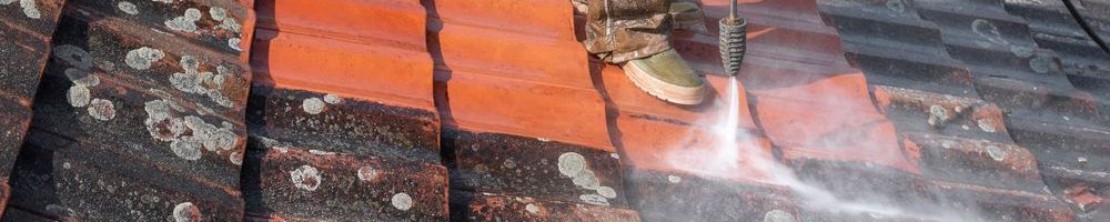 Dakonderhoud Zwolle schoonspuiten van dakpannen